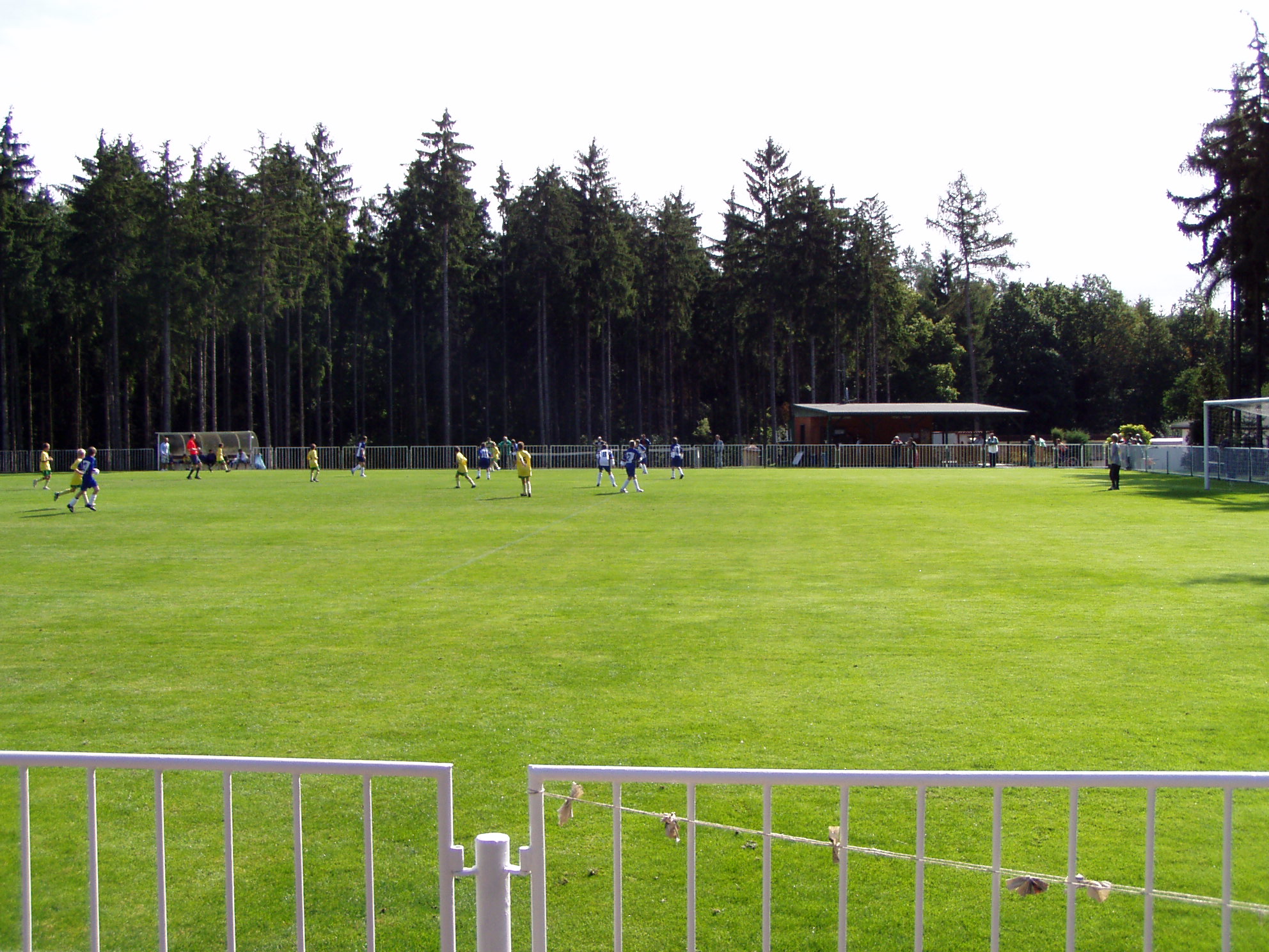P9121250.JPG